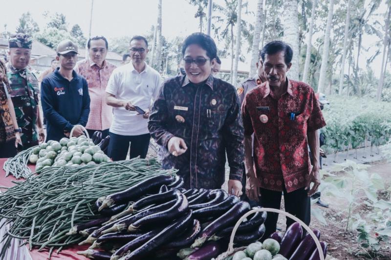 Panen Raya, Bupati Giri Prasta : Dikelola Potensi Desa Secara Maksimal ...